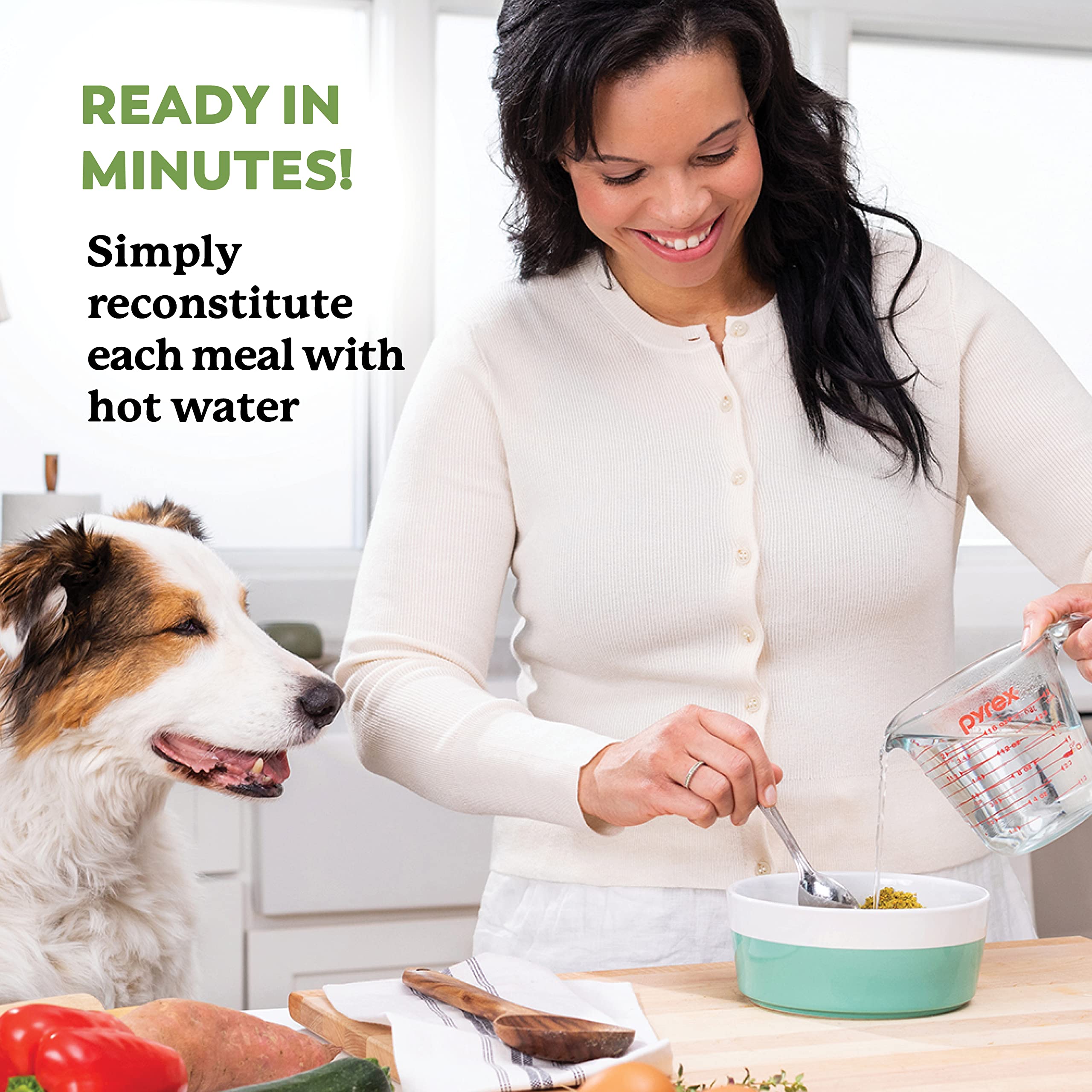 Dr. Harvey's Beef and Garden Veggies USA-made seal.