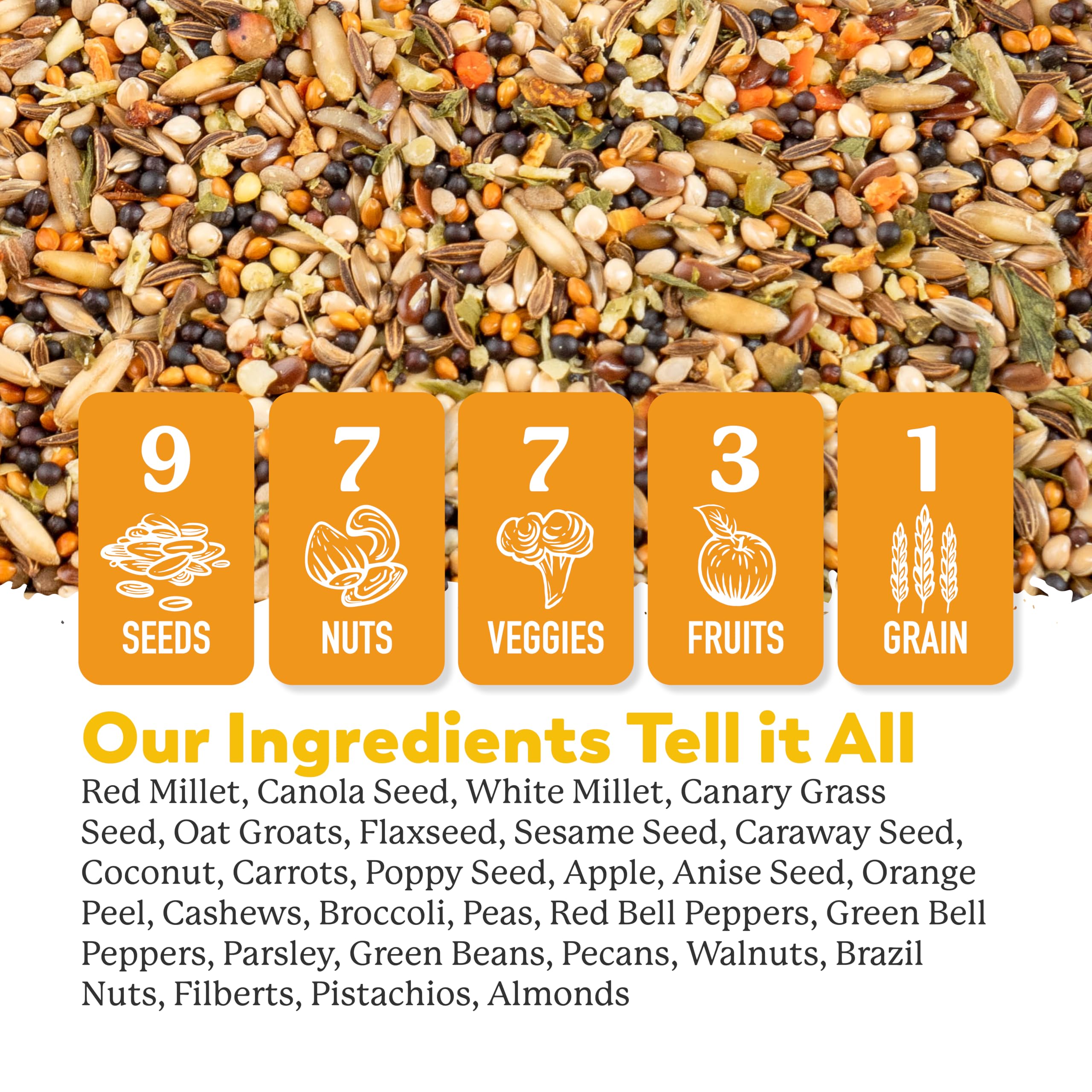 Dr. Harvey's Canary Blend variety of ingredients for a natural diet.