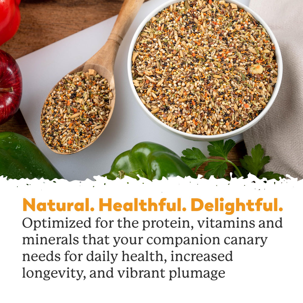 Dr. Harvey's Canary Blend seed-nut-fruit mix supports balanced nutrition.