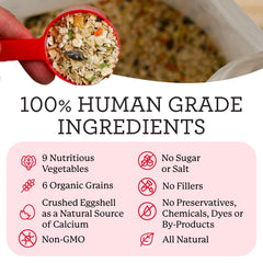 Close-up of grains and vegetables in Dr. Harvey's Canine Health Miracle mix.