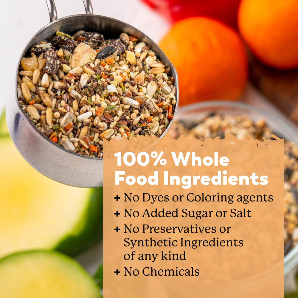 Dr. Harvey's Colossal Cockatiel Blend ingredients spread illustrate diverse nutrition.