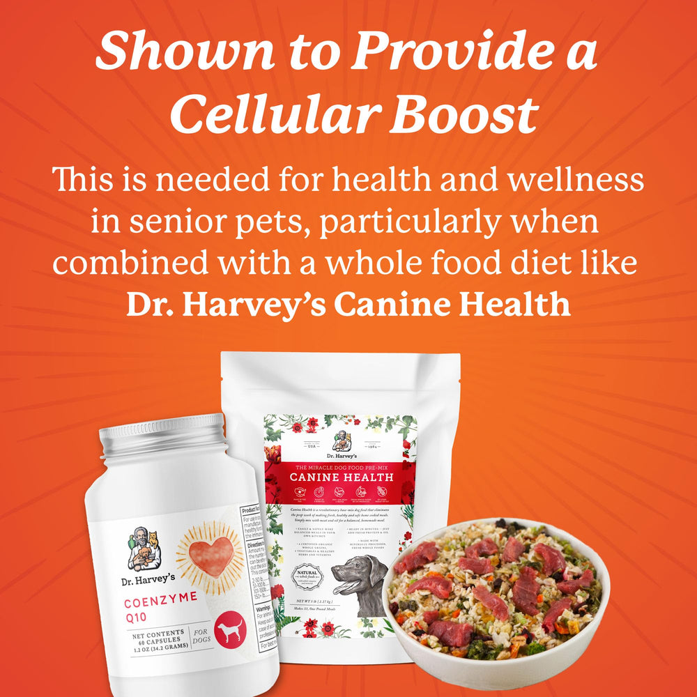 Dr. Harvey's Coenzyme Q10 bottle labeled Made in USA with no additives.
