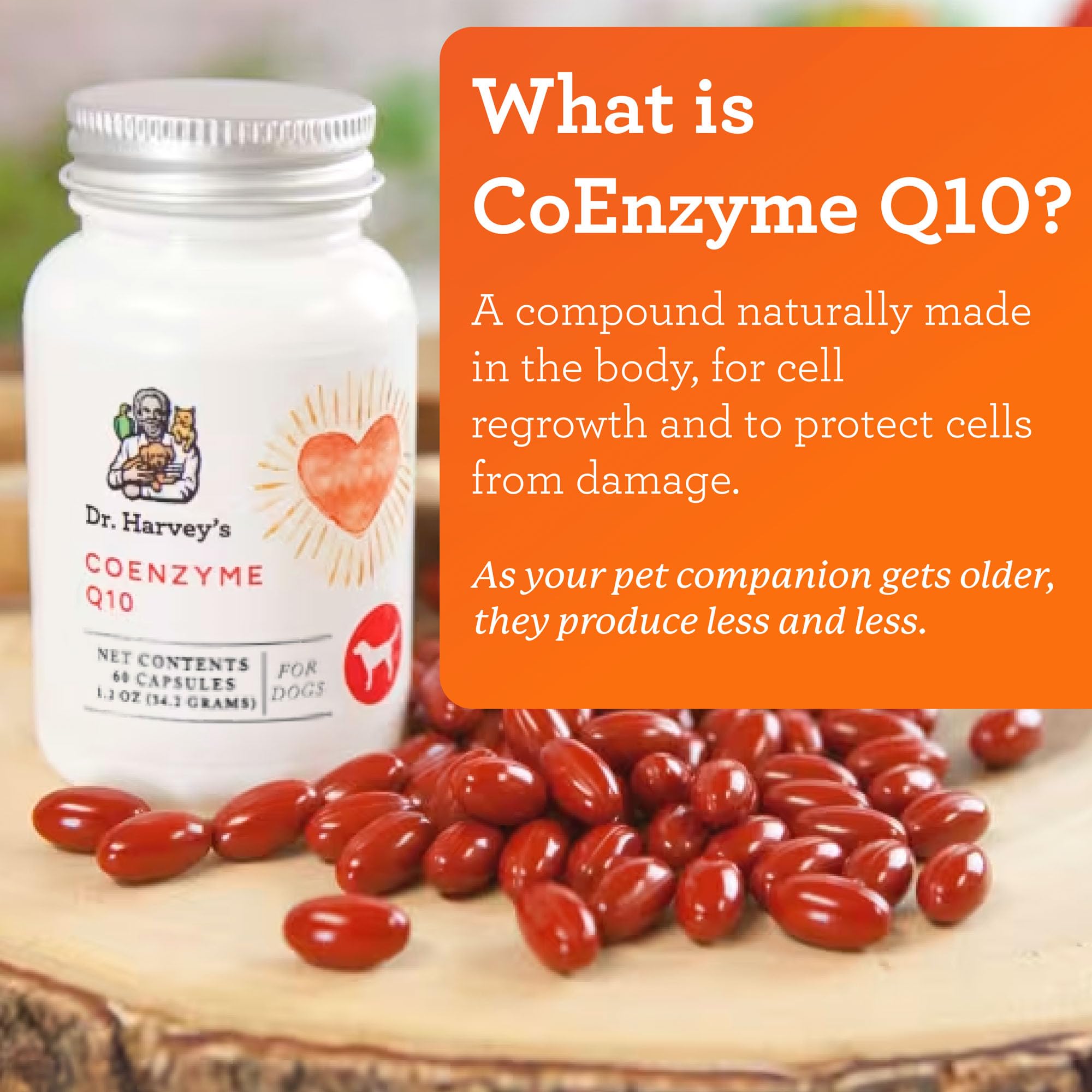 Close-up of Dr. Harvey's Coenzyme Q10 label emphasizing USA-made, preservative-free formula.