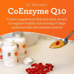 Dr. Harvey's Coenzyme Q10 capsules ready to sprinkle or mix into dog meals.