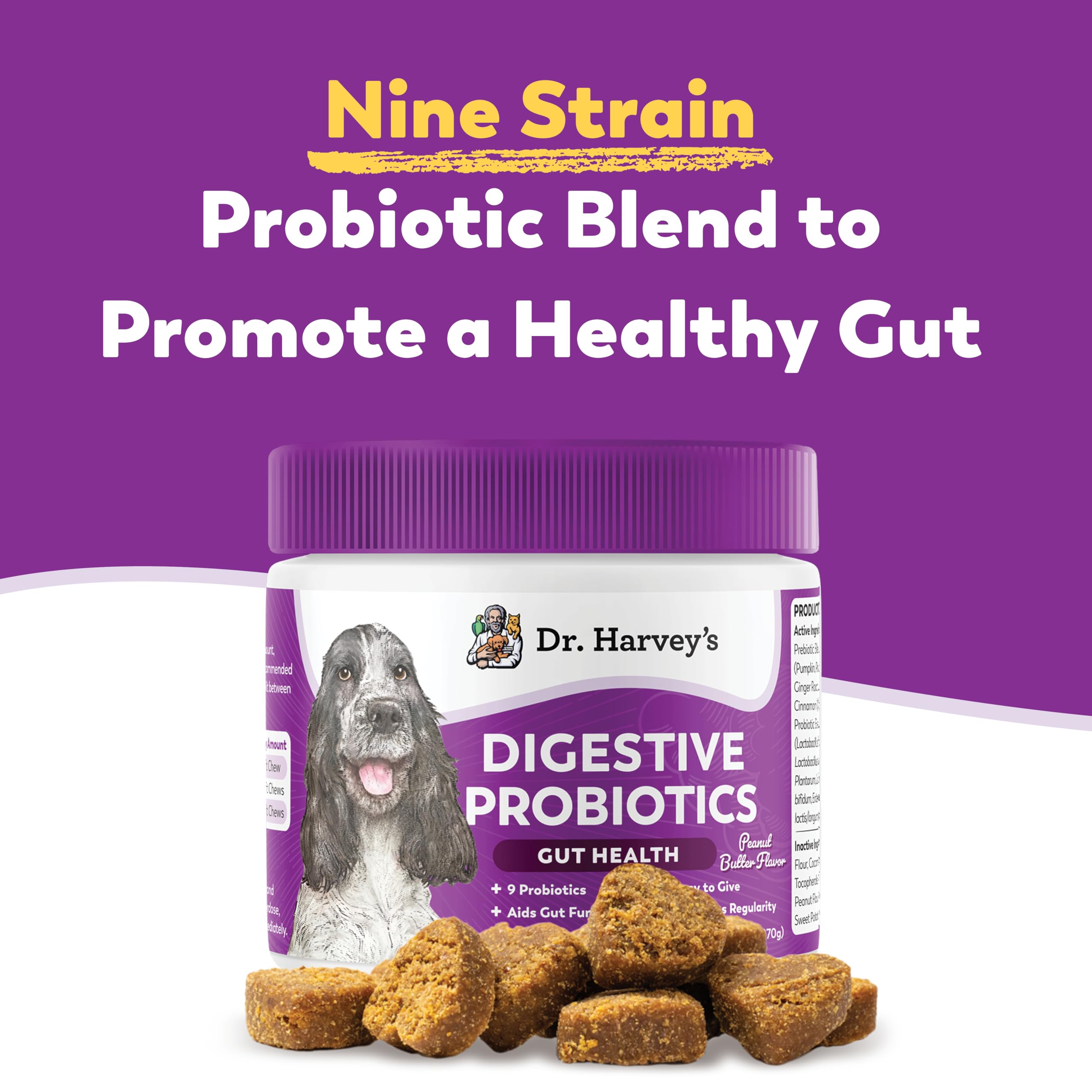 Dr Harvey's dog soft chews peanut butter serving for tasty gut health support