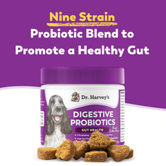 Dr Harvey's dog soft chews peanut butter serving for tasty gut health support