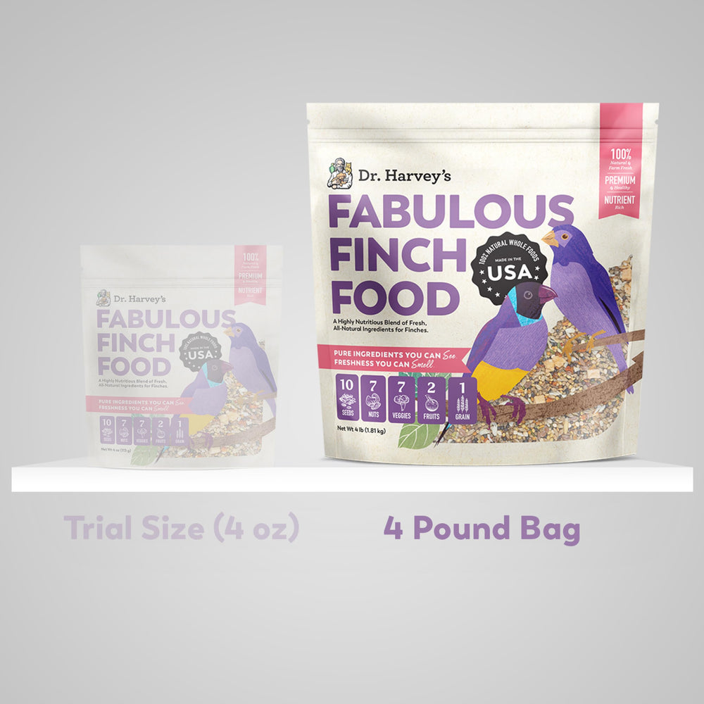 Backyard feeding with Dr. Harvey’s Fabulous Finch Food supports reliable bird visits.