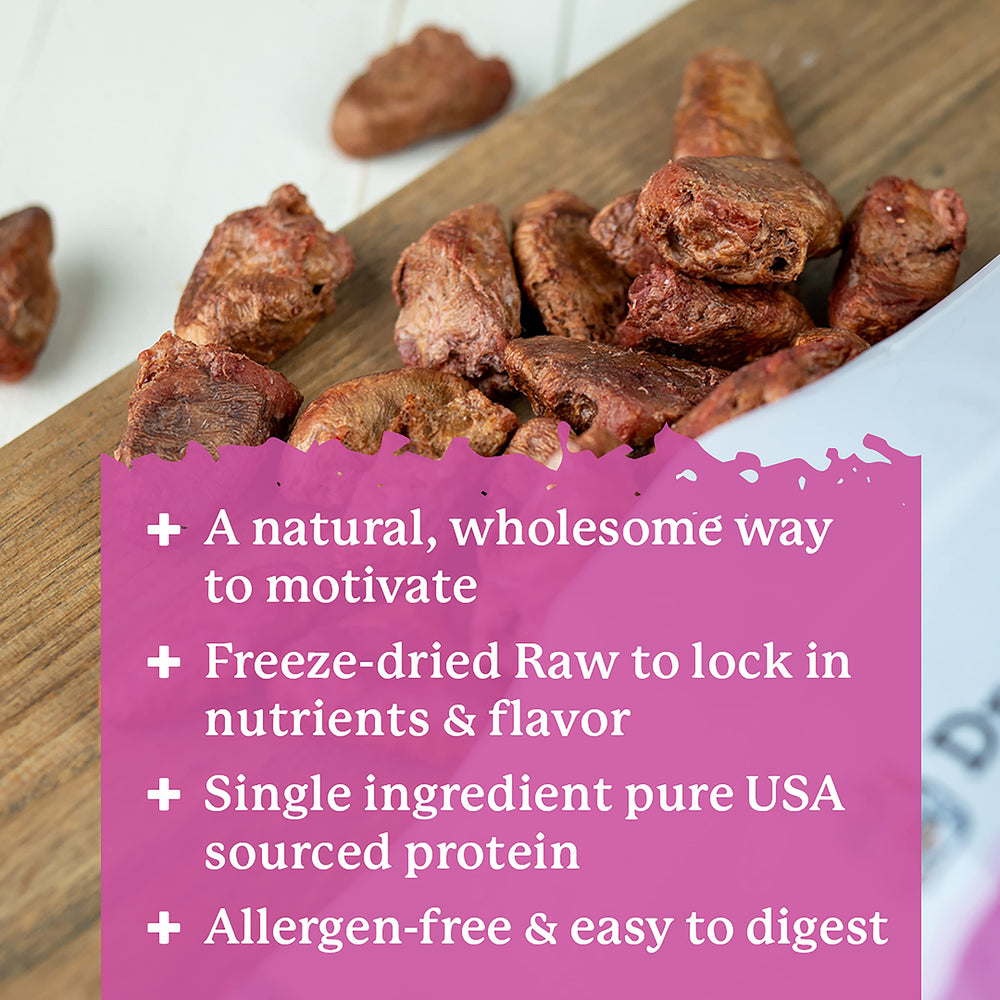 Dr. Harvey's dog chew — crunchy texture dogs enjoy during play or training.