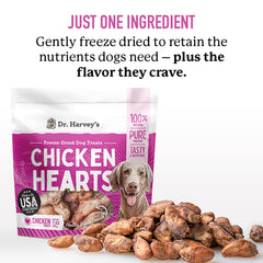 Dr. Harvey's ingredients closeup — 100% natural chicken hearts without additives.
