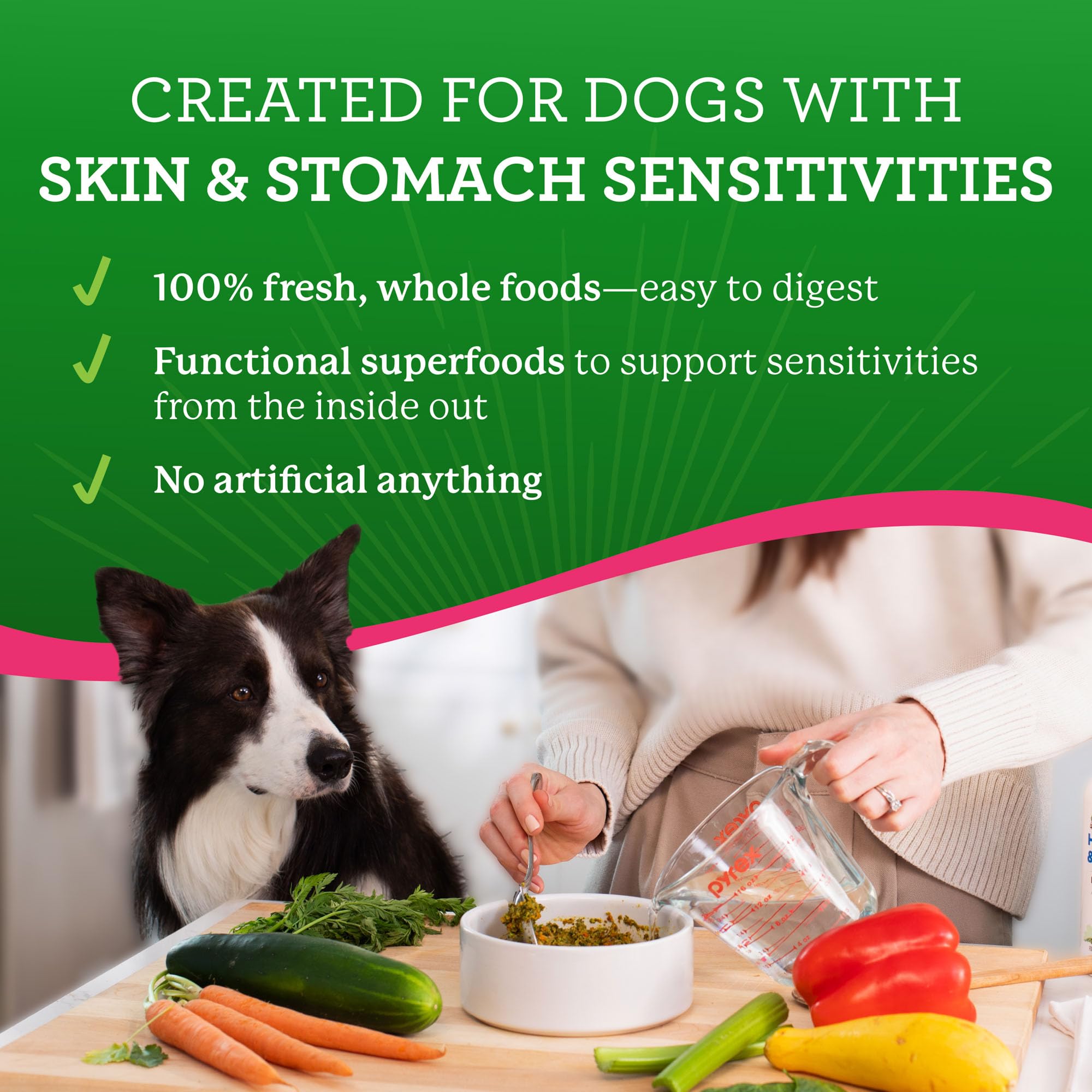 Dr. Harvey's freeze-dried salmon first ingredient showcases premium protein for skin and coat health