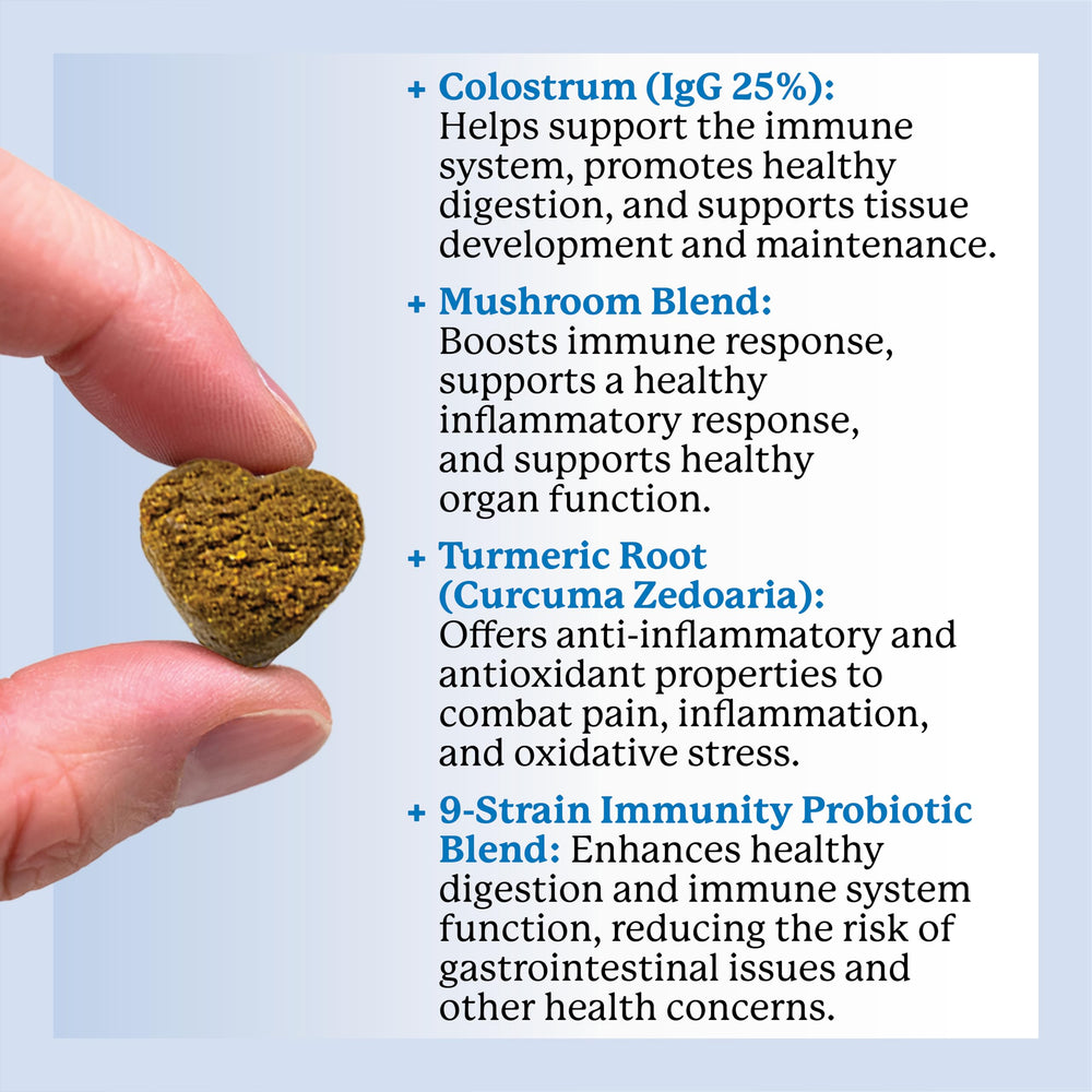 Dr. Harvey's functional mushrooms blend close-up for immune support and allergy relief potential.