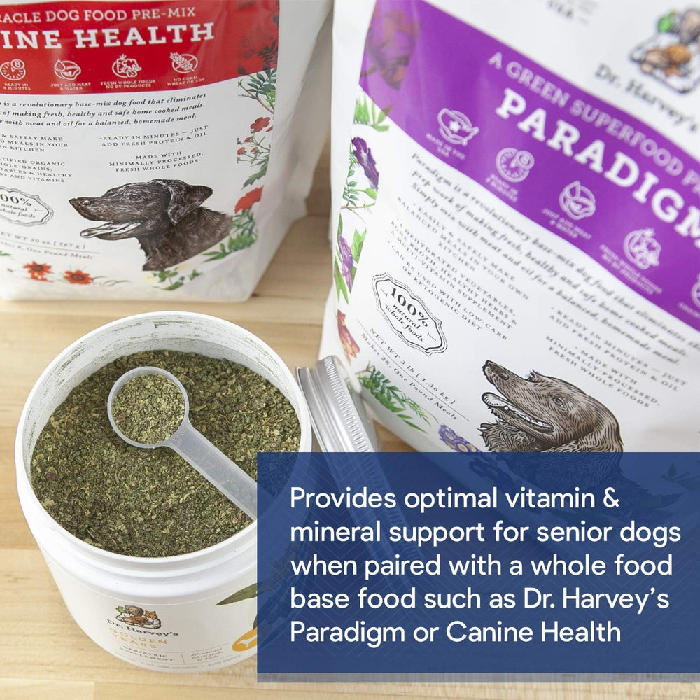 Portrait of an elderly dog receiving gentle care with herbal supplement.