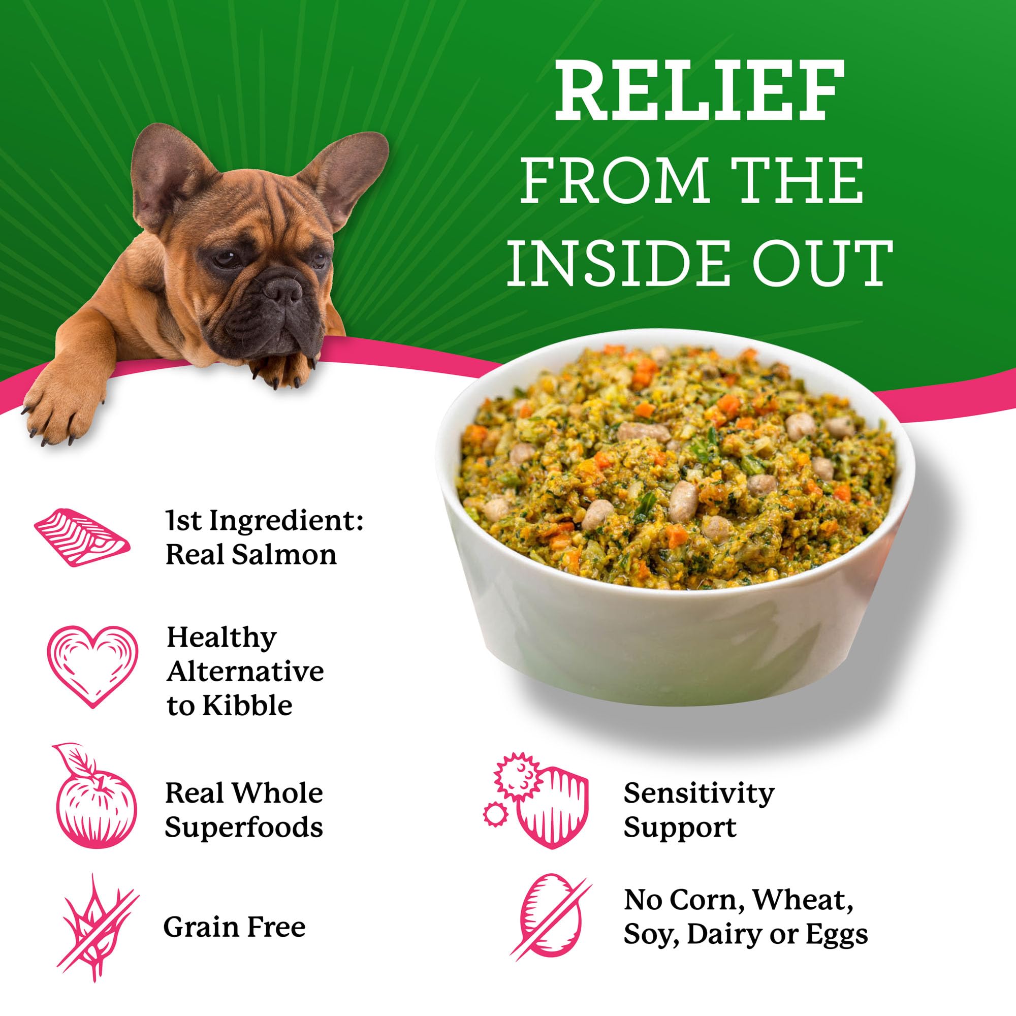 Dr. Harvey's grain-free dog-food-bowl features prepared meal ready to serve