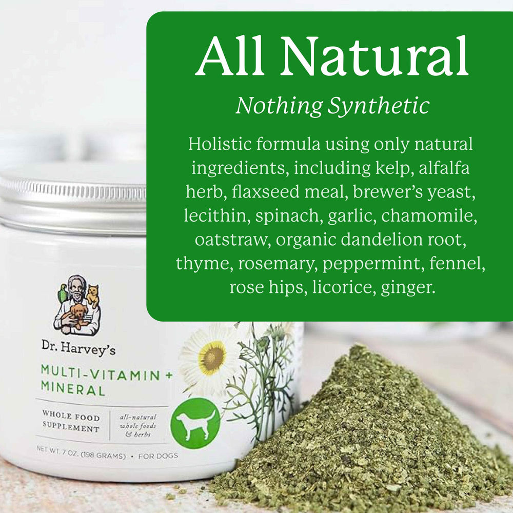 Dr. Harvey's Herbal Multi-Vitamin powder being dispensed easily into dog meals.