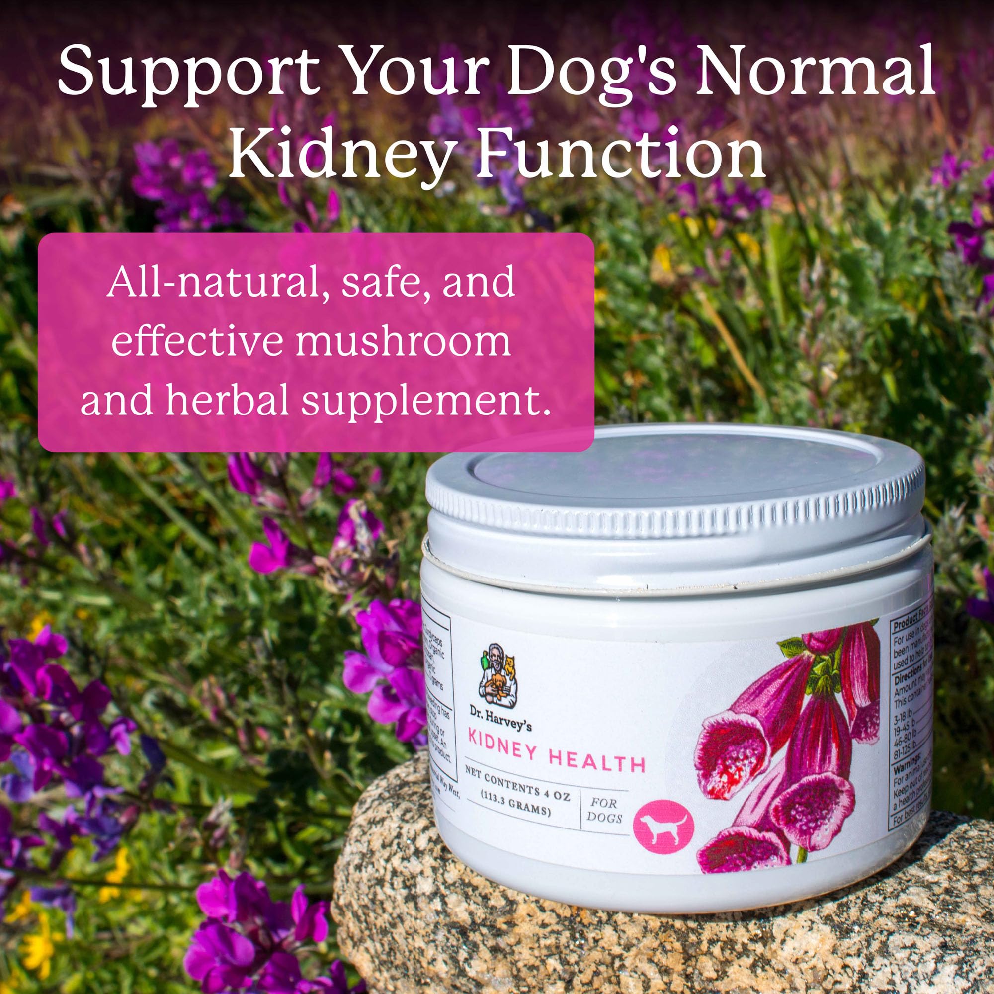 Dr. Harvey's Kidney Health organic Rehmannia Root close-up, traditional kidney support.