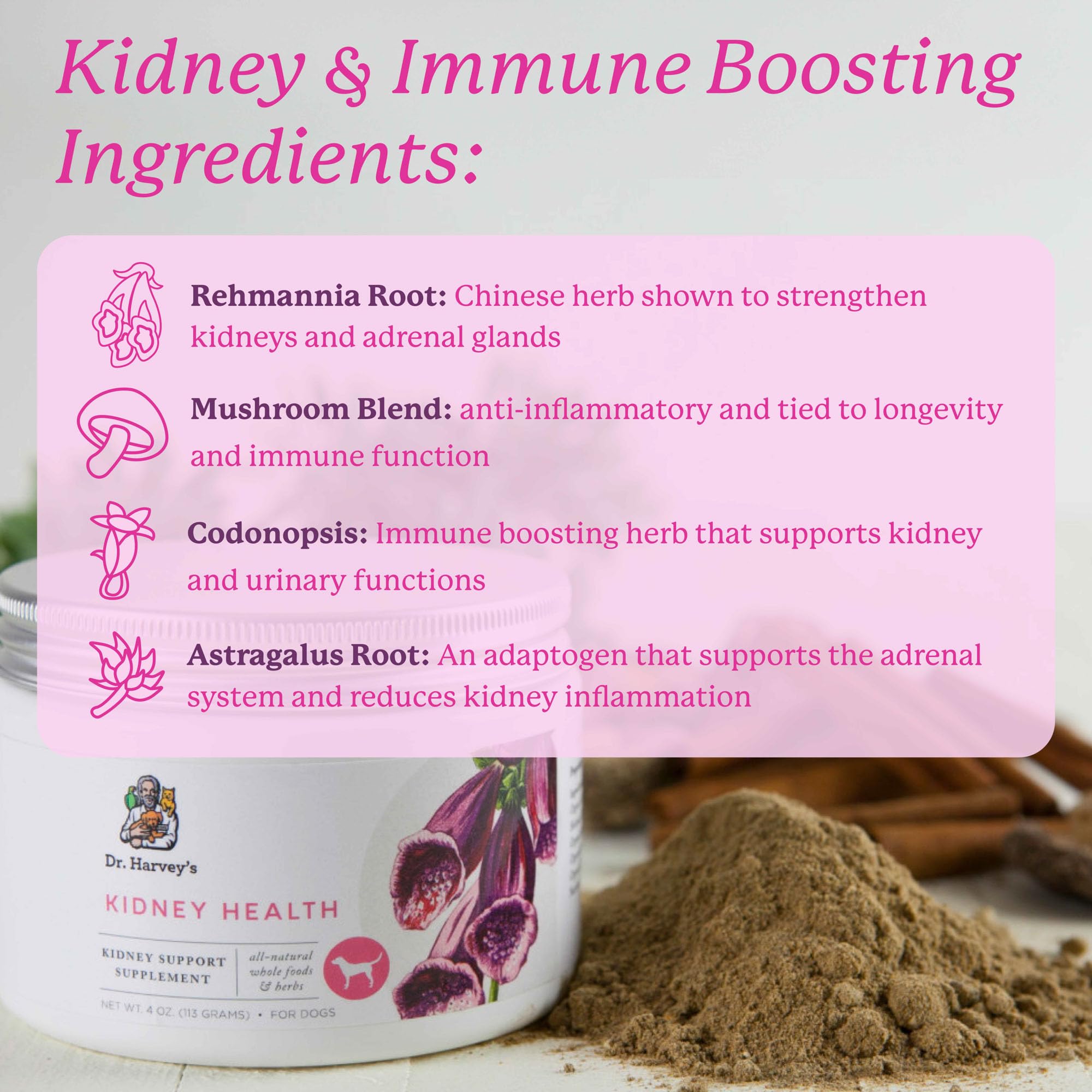 Dr. Harvey's Kidney Health organic mushrooms blend highlighting anti-inflammatory support.