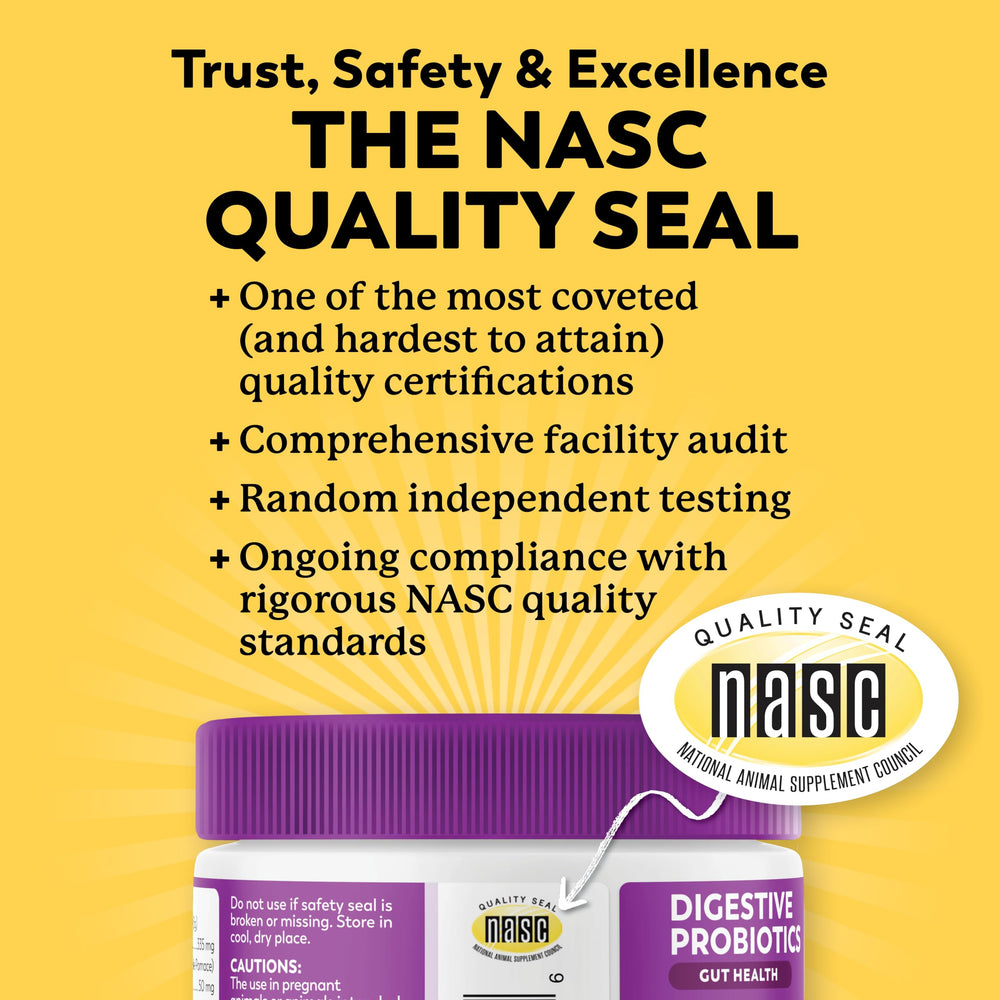 Dr Harvey's multi strain probiotic blend close up for gut support