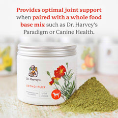 Dr. Harvey's Ortho-Flex dog joint-health concept image signals potential comfort
