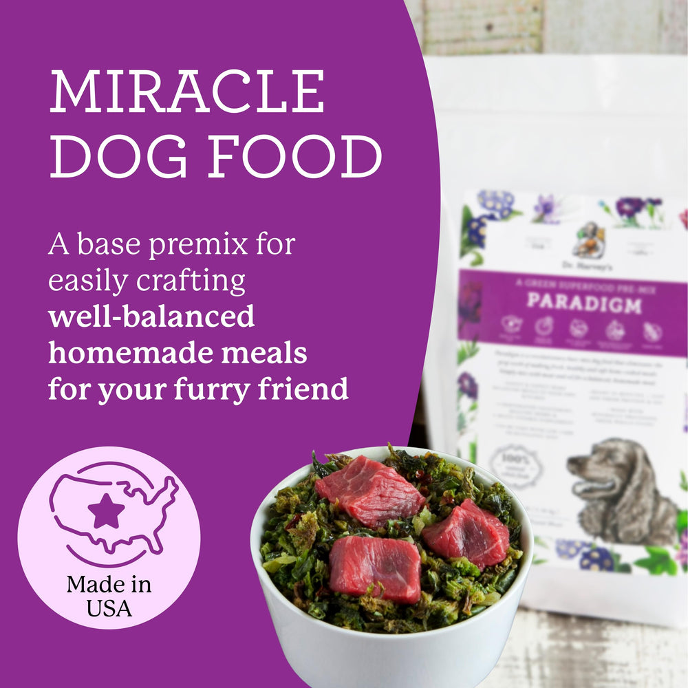 Dr. Harvey's Paradigm ingredients close-up with greens and bone broth