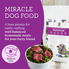 Dr. Harvey's Paradigm ingredients close-up with greens and bone broth