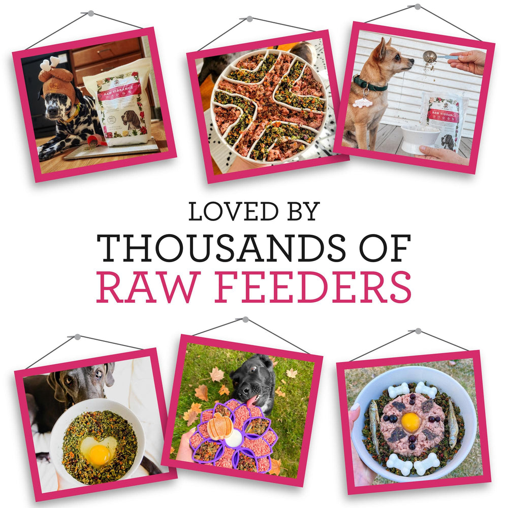 Dr. Harvey's Raw Vibrance ready in minutes emphasizes fast, convenient meal prep.