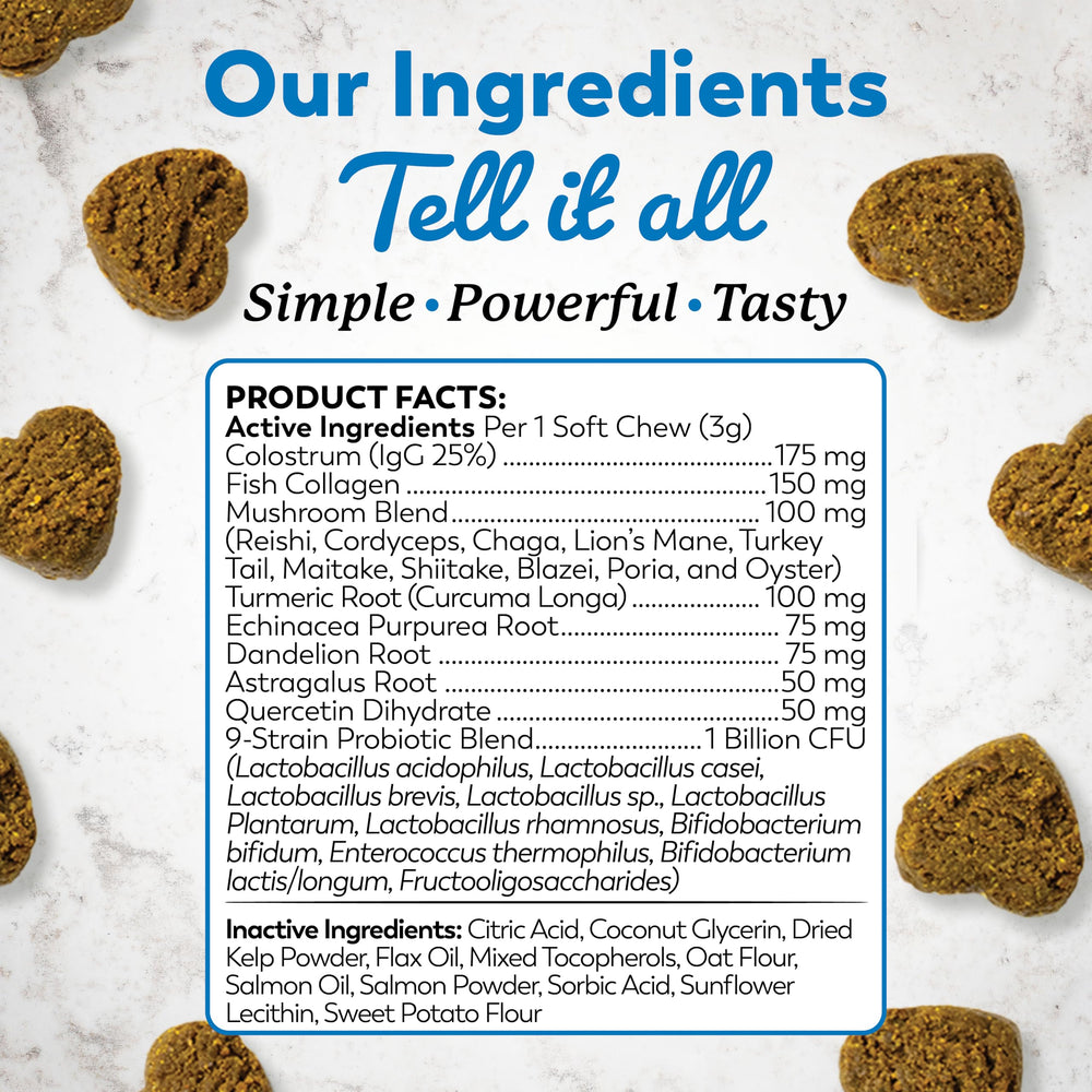 Dr. Harvey's soft chews texture close-up showing chewy, dog-friendly snack.