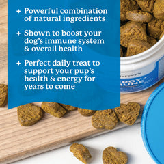 Dr. Harvey's soy-free, gelatin-free soft chews packaging close-up highlighting purity.