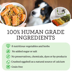 Dr. Harvey's Veg-to-Bowl ingredients display nine dehydrated vegetables and herbs.