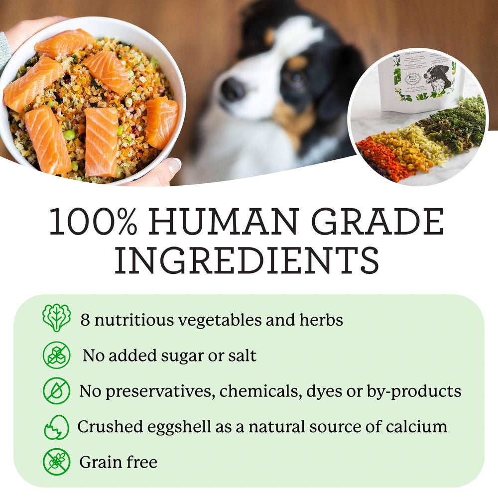 Dr. Harvey's Veg-to-Bowl rehydration process image demonstrates quick 8-minute prep for home meals.