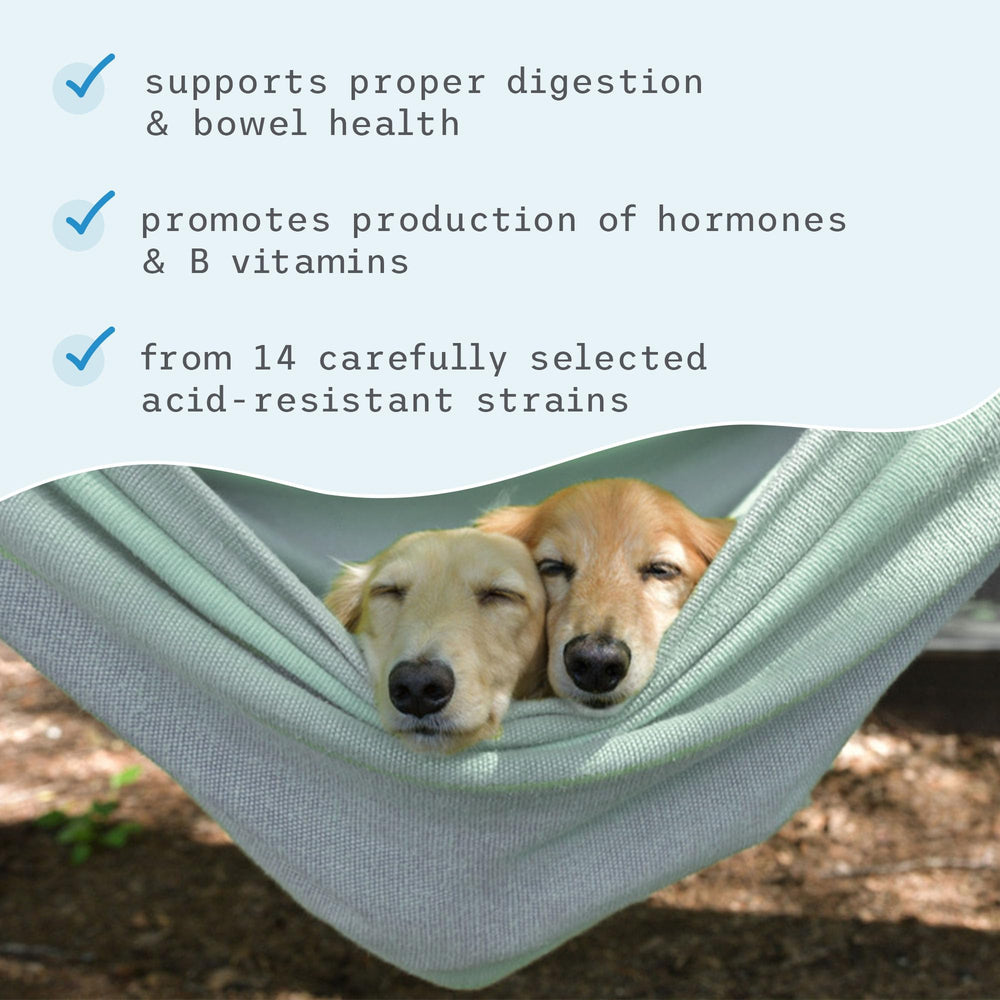 Label graphic showing 14 strains for Bark & Whiskers probiotic
