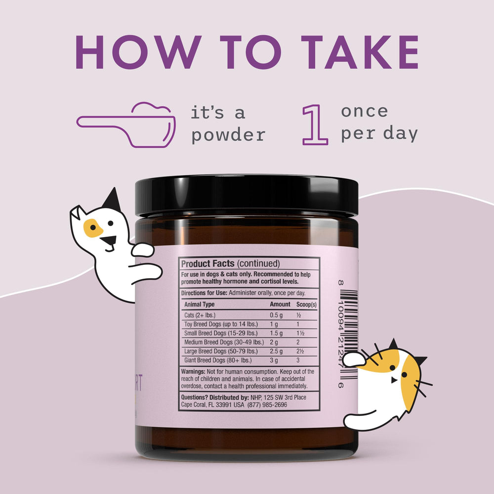 Dog on walk with Bark & Whiskers Adrenal Support for wellness