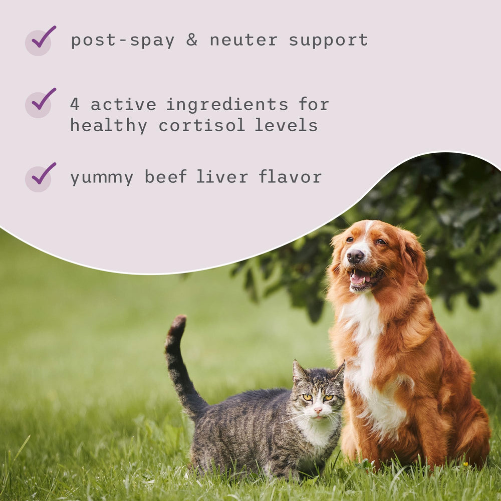 Label highlights four active ingredients on Bark & Whiskers Adrenal Support