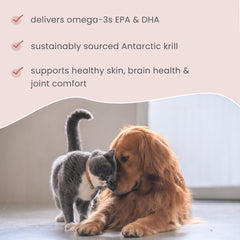 Dr. Mercola Bark & Whiskers Krill Bites sourced from pristine Antarctic waters.