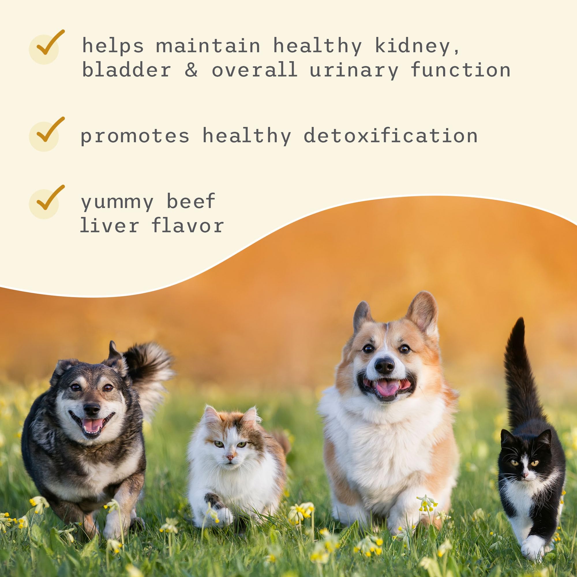 Dr. Mercola Bark & Whiskers label emphasizes non-GMO and soy-free formulation