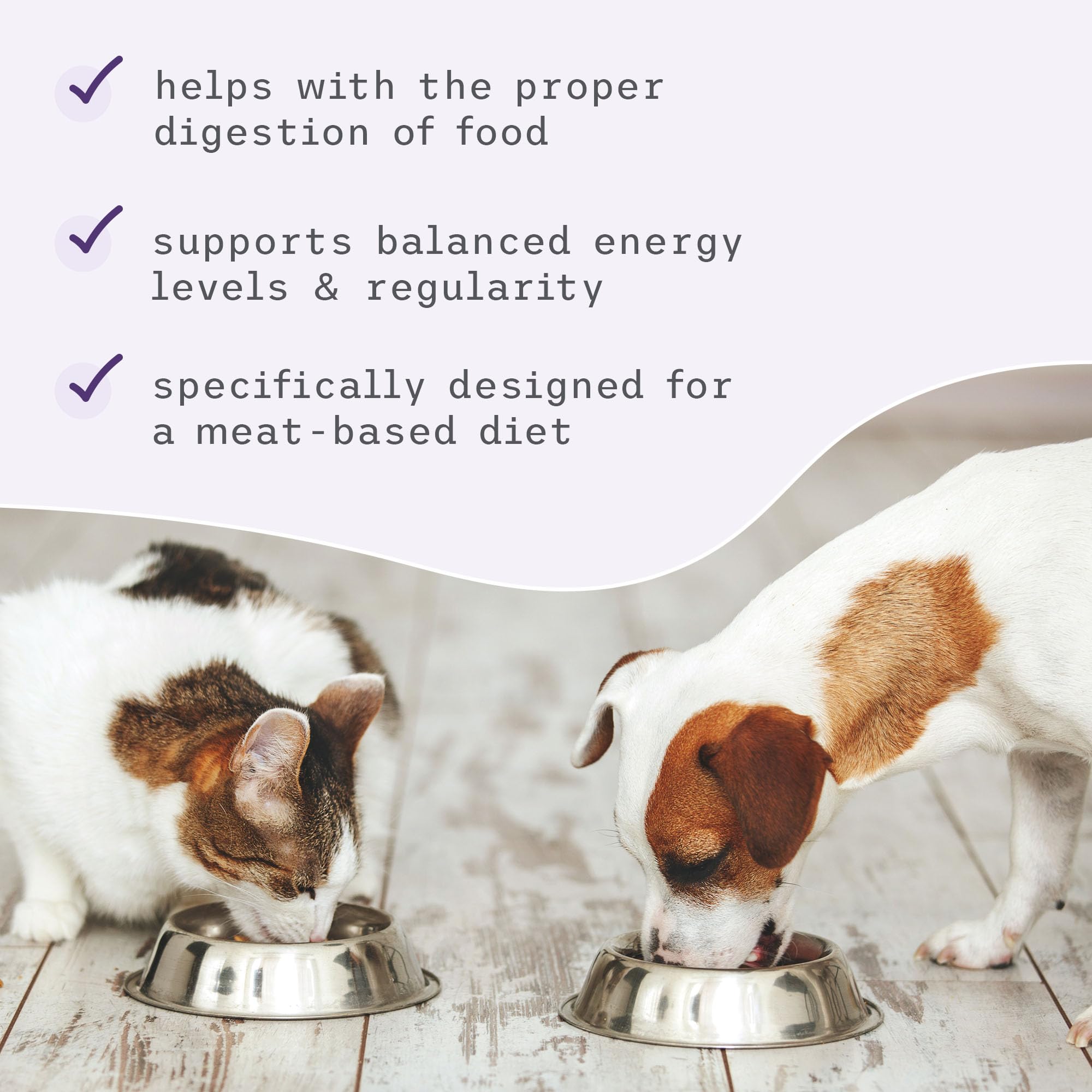 Dr. Mercola Bark & Whiskers enzyme powder ready to top cat food.