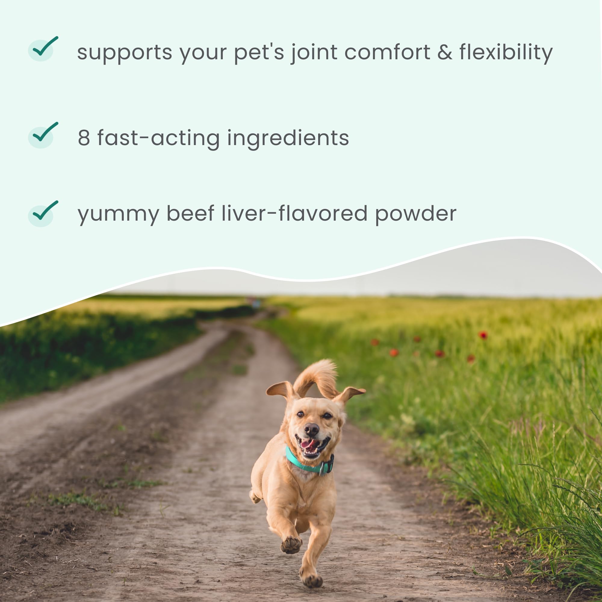 Dr. Mercola Bark & Whiskers dog use promotes longer, more comfortable walks.