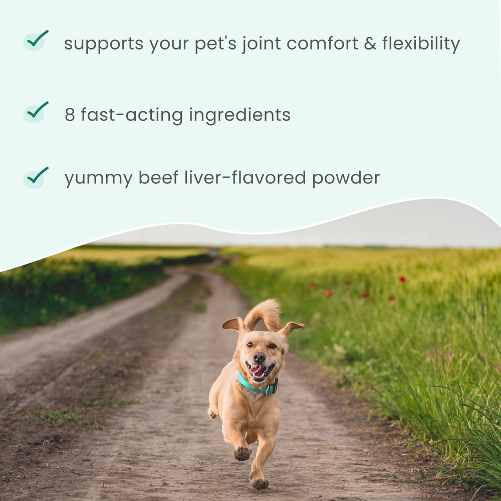 Dr. Mercola Bark & Whiskers dog use promotes longer, more comfortable walks.