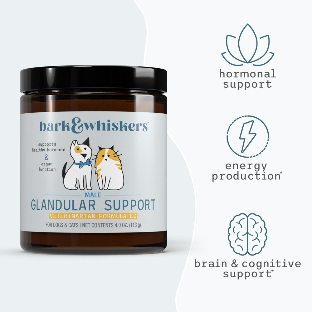 Dr. Mercola Bark & Whiskers bowl with food demonstrating a daily organ-support routine.