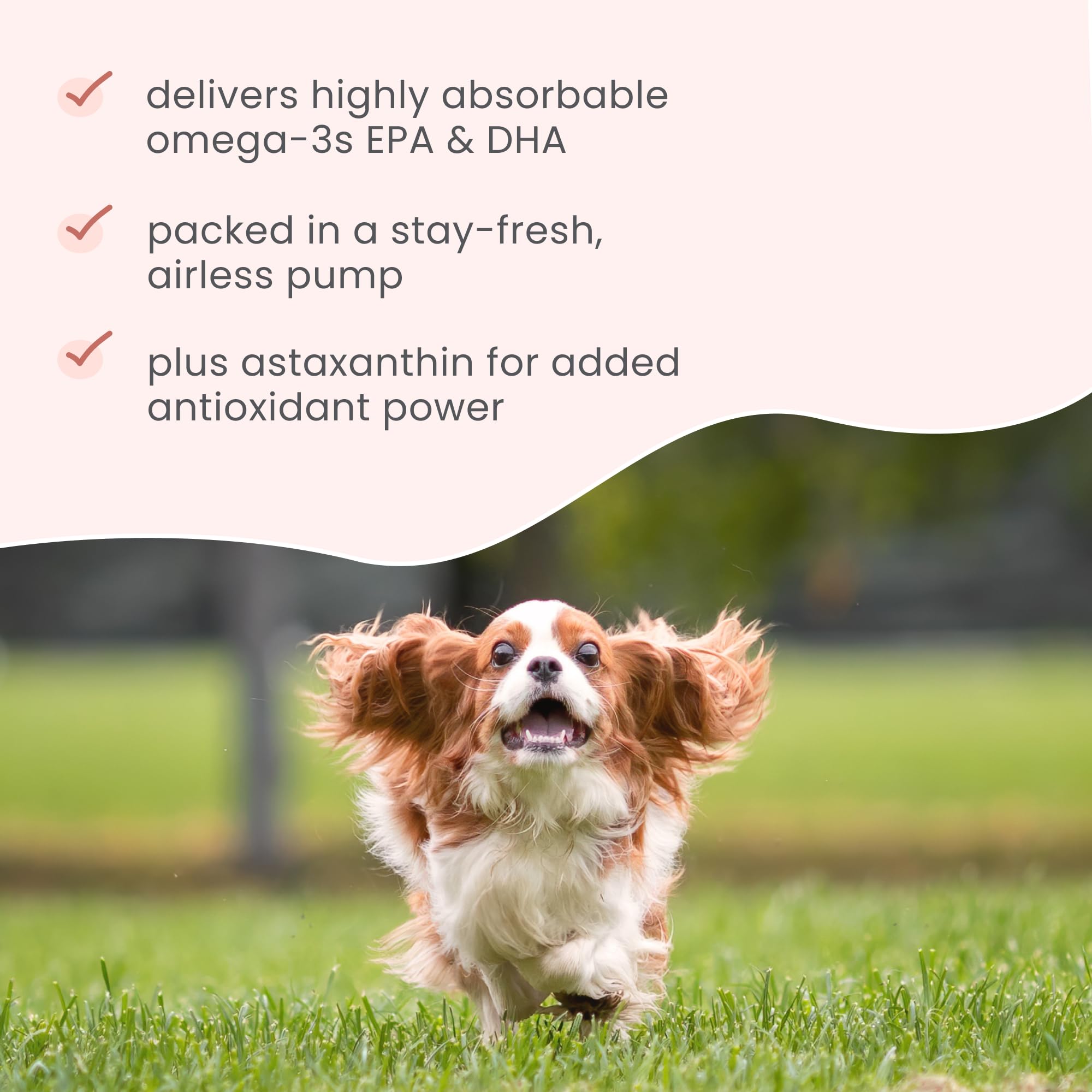 Dr. Mercola Bark & Whiskers krill oil MSC certified sustainability emphasize responsible sourcing.