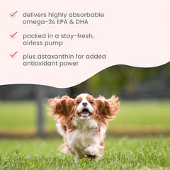 Dr. Mercola Bark & Whiskers krill oil MSC certified sustainability emphasize responsible sourcing.
