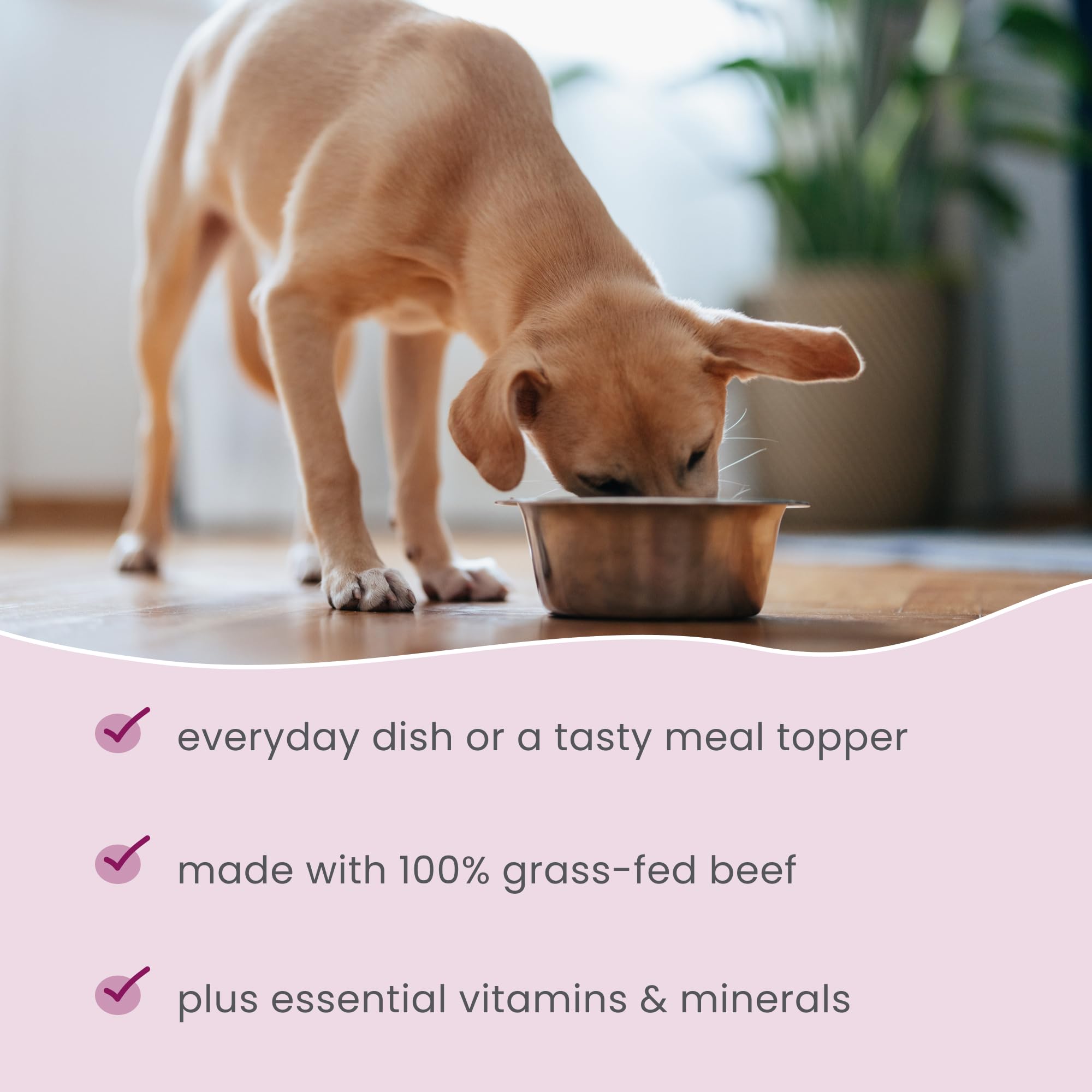 Dr. Mercola Bark & Whiskers non-GMO rotation-friendly formula