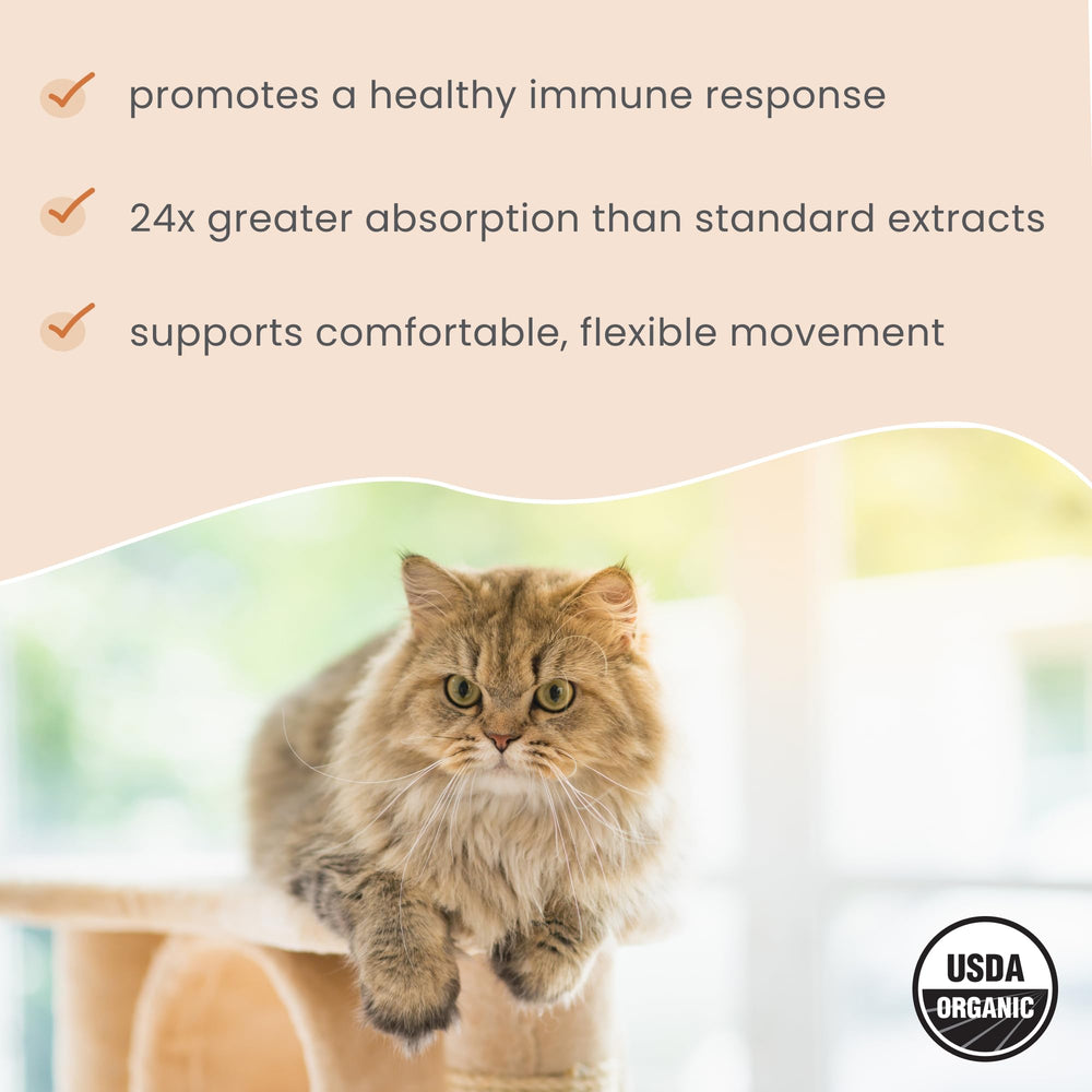Dr Mercola Bark and Whiskers Organic Curcumin USDA Organic seal on packaging.
