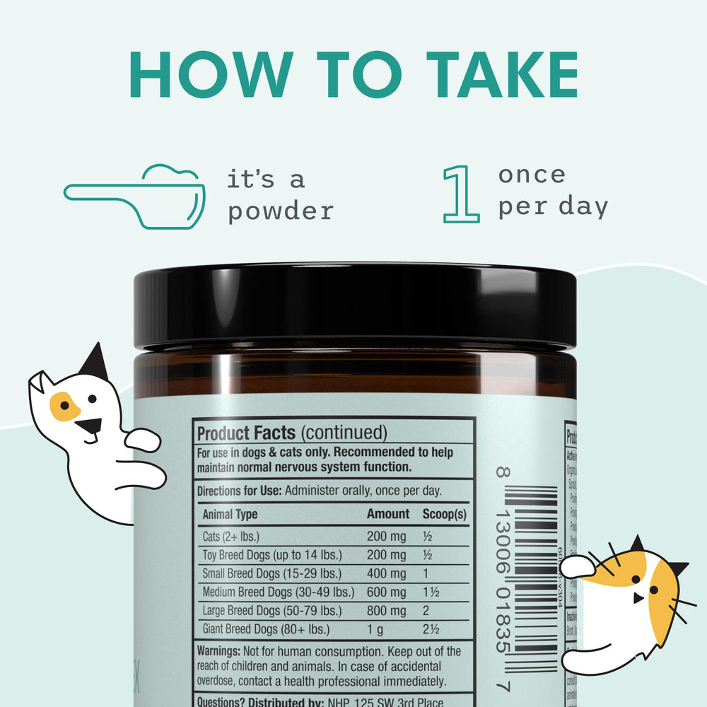 Dr Mercola Bark & Whiskers pet at play illustrating endurance support