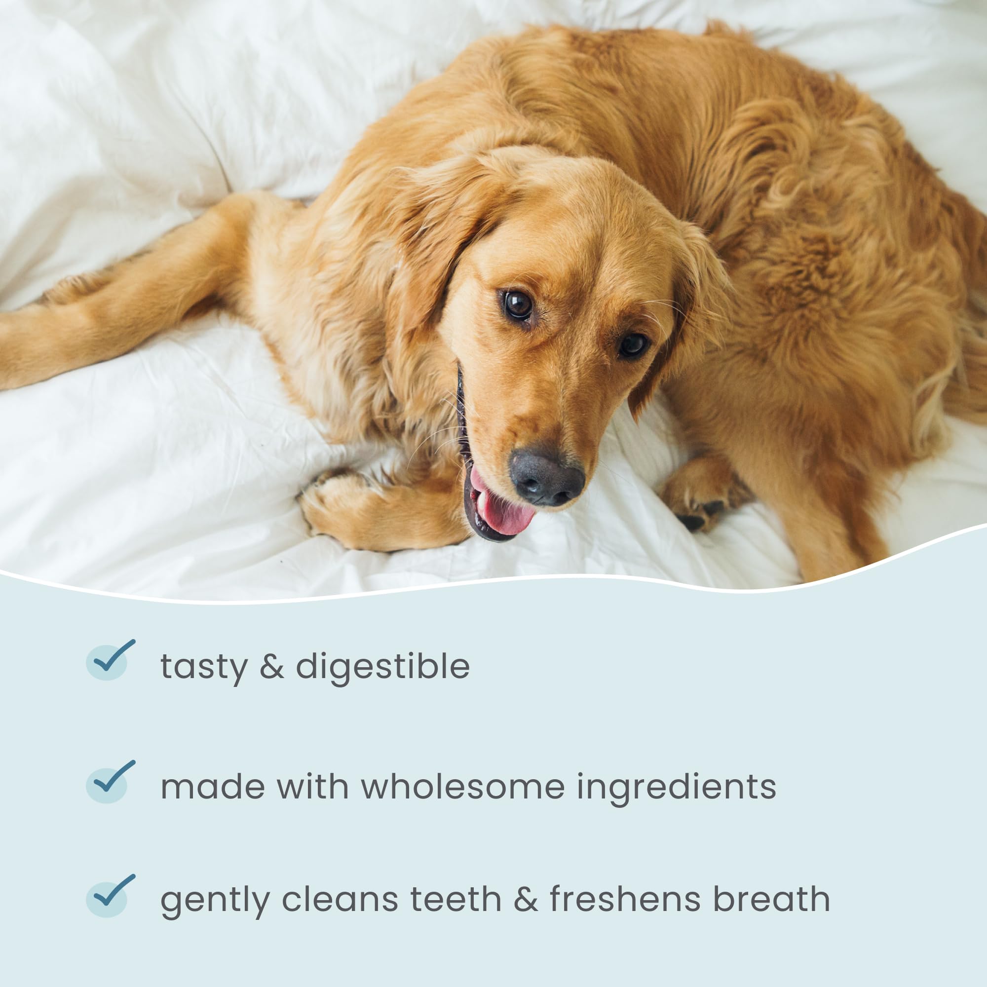 Dr Mercola dental chew bones digestible texture close-up detail