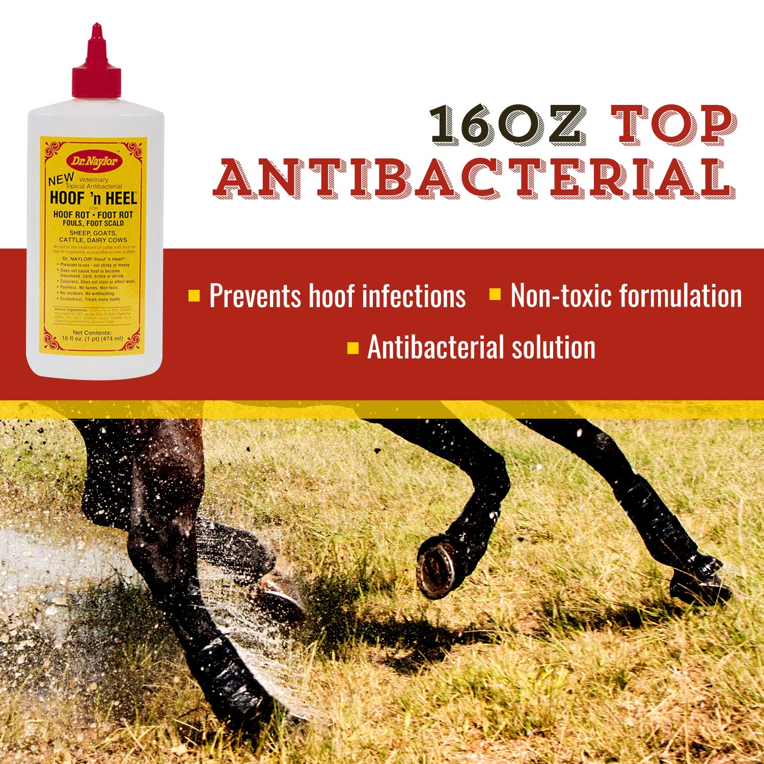 Dr. Naylor Hoof 'N Heal applied to a hoof for rot management on livestock