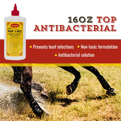 Dr. Naylor Hoof 'N Heal applied to a hoof for rot management on livestock