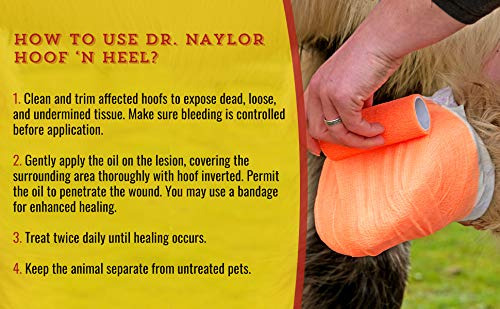 Dr. Naylor Hoof 'N Heal bottle label showing 16oz size