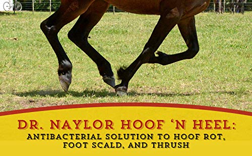 Dr. Naylor Hoof 'N Heal used for horse hoof care in stable environment