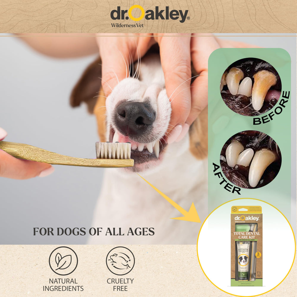 Dr Oakley dual-head toothbrush with soft bristles for comfortable cleaning.
