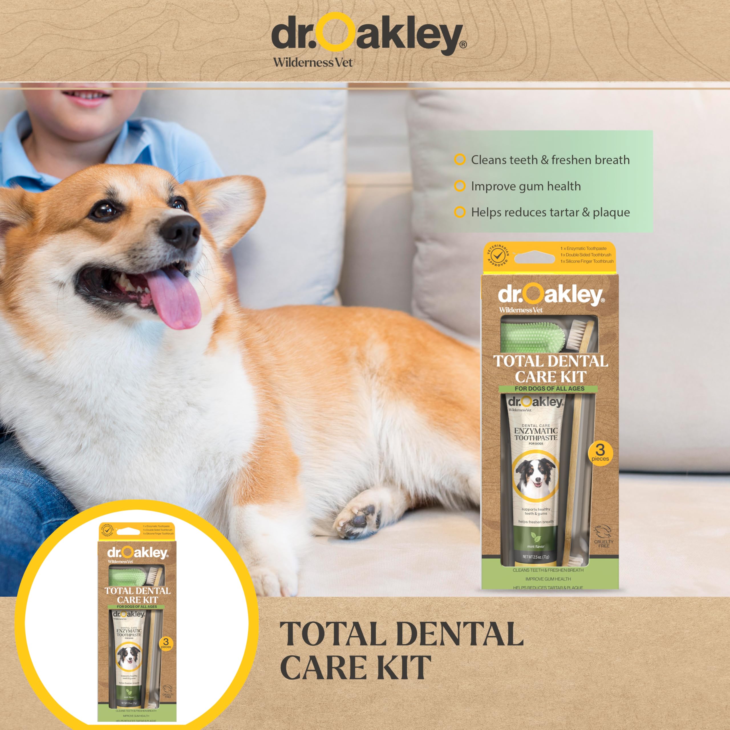 Dr Oakley dog dental care session demonstrates a stress-free brushing routine.